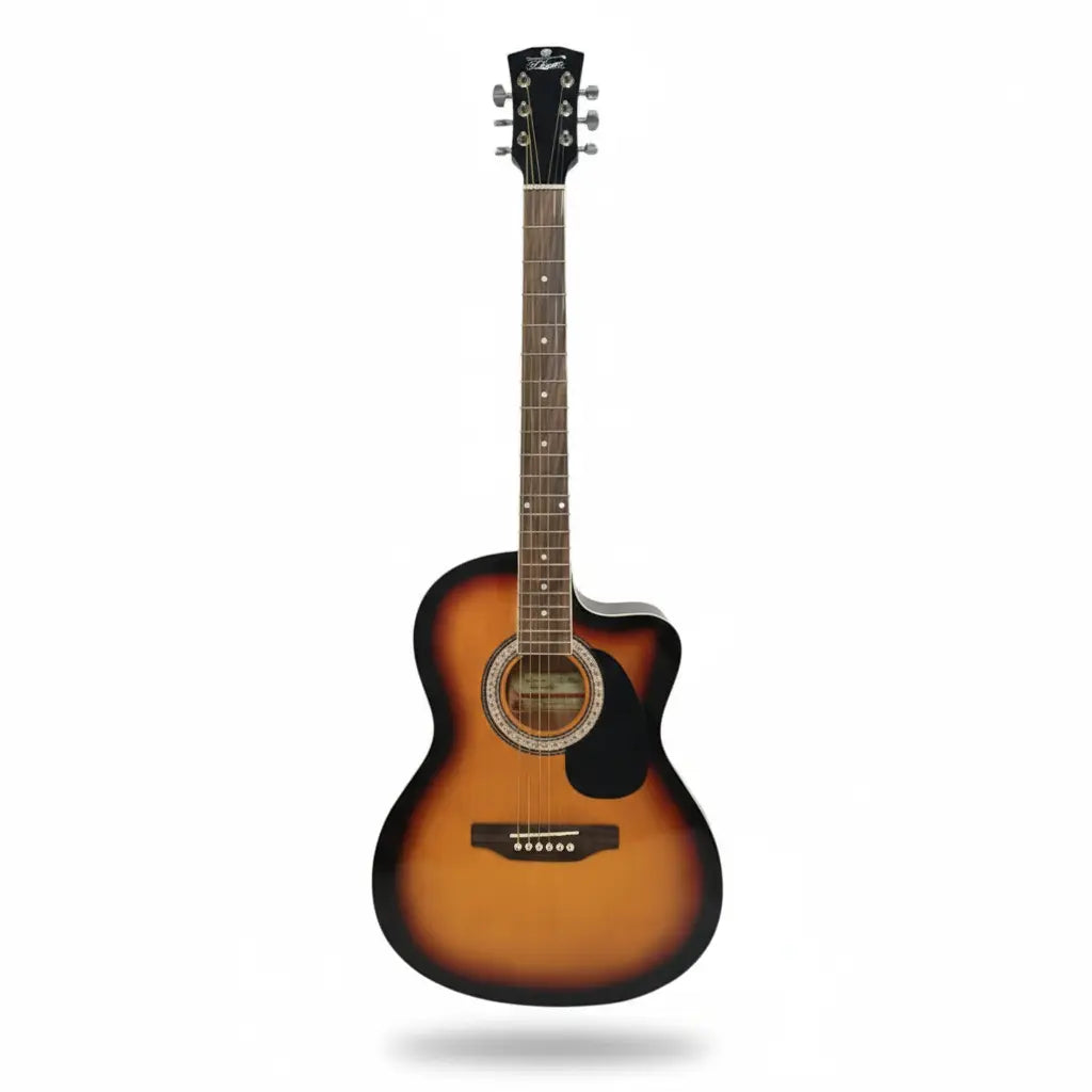 Pluto PA39C-201 Medium Cutaway Acoustic Guitar - Black